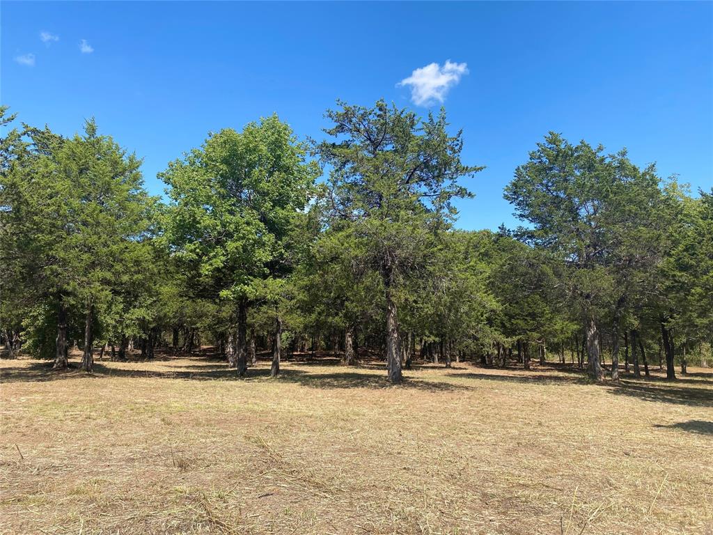1648 Gordonville Road Gordonville, TX 76245 - Photo 7 of 18 a view of swimming pool with trees