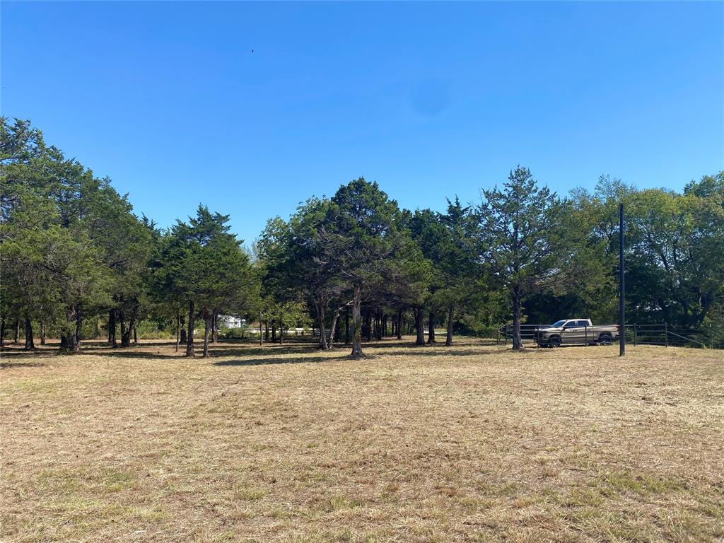 1648 Gordonville Road Gordonville, TX 76245 - Photo 9 of 18 a view of outdoor space with trees in the background