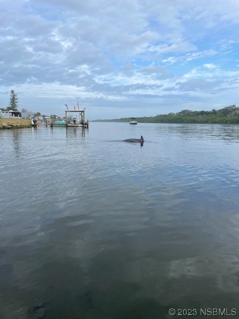 130 H H Burch Road Oak Hill, FL 32759 - Photo 24 of 24 a view of a lake view