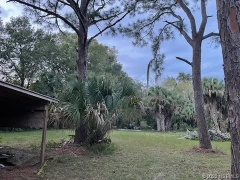 a backyard of a house with lots of green space