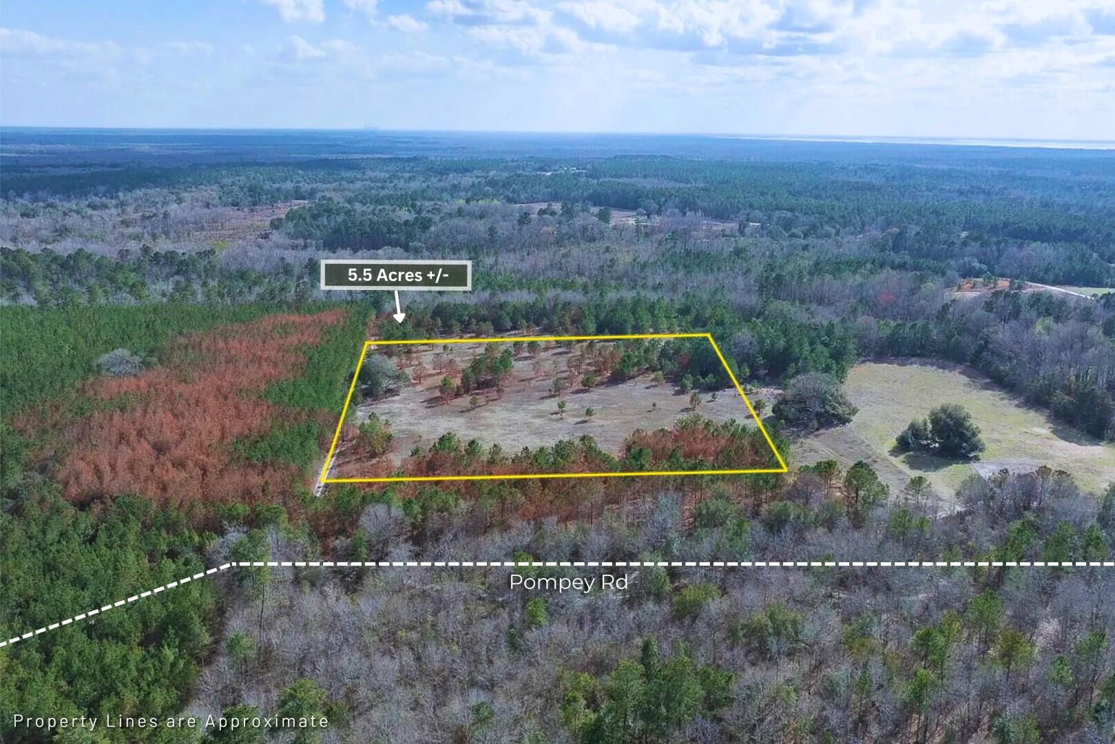 5 Pompey Road Manning, SC 29102 - Photo 2 of 32 2. High Altitude