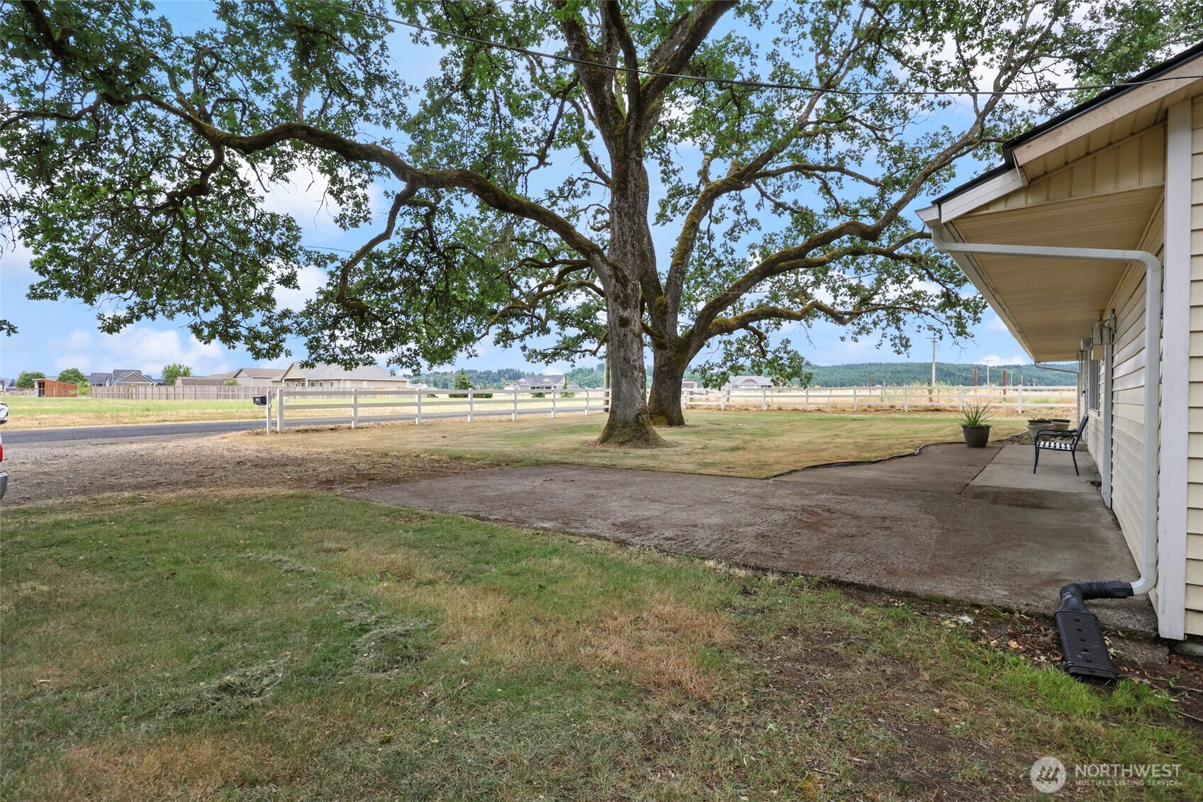 17215 Gibson Road Southwest Tenino, WA 98589 - Photo 23 of 40 a view of yard with large trees