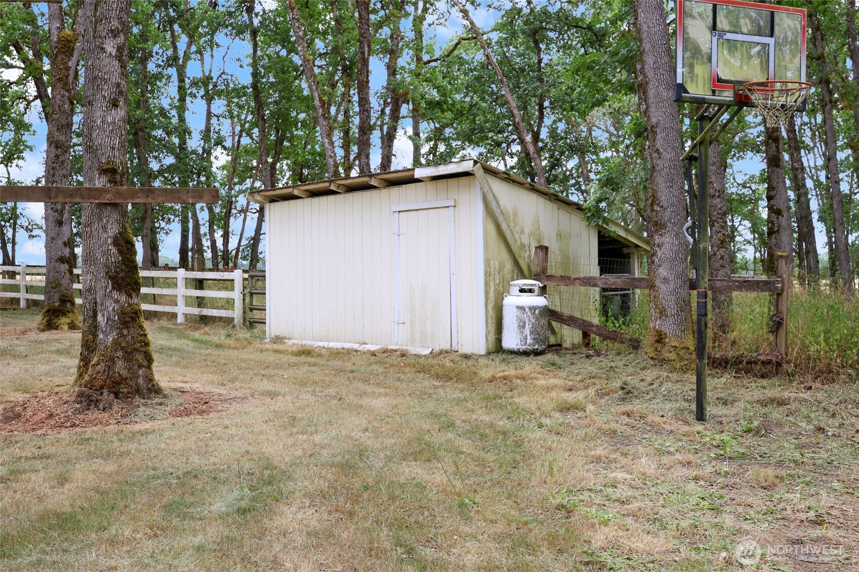 17215 Gibson Road Southwest Tenino, WA 98589 - Photo 25 of 40 a house that has a tree in front of it