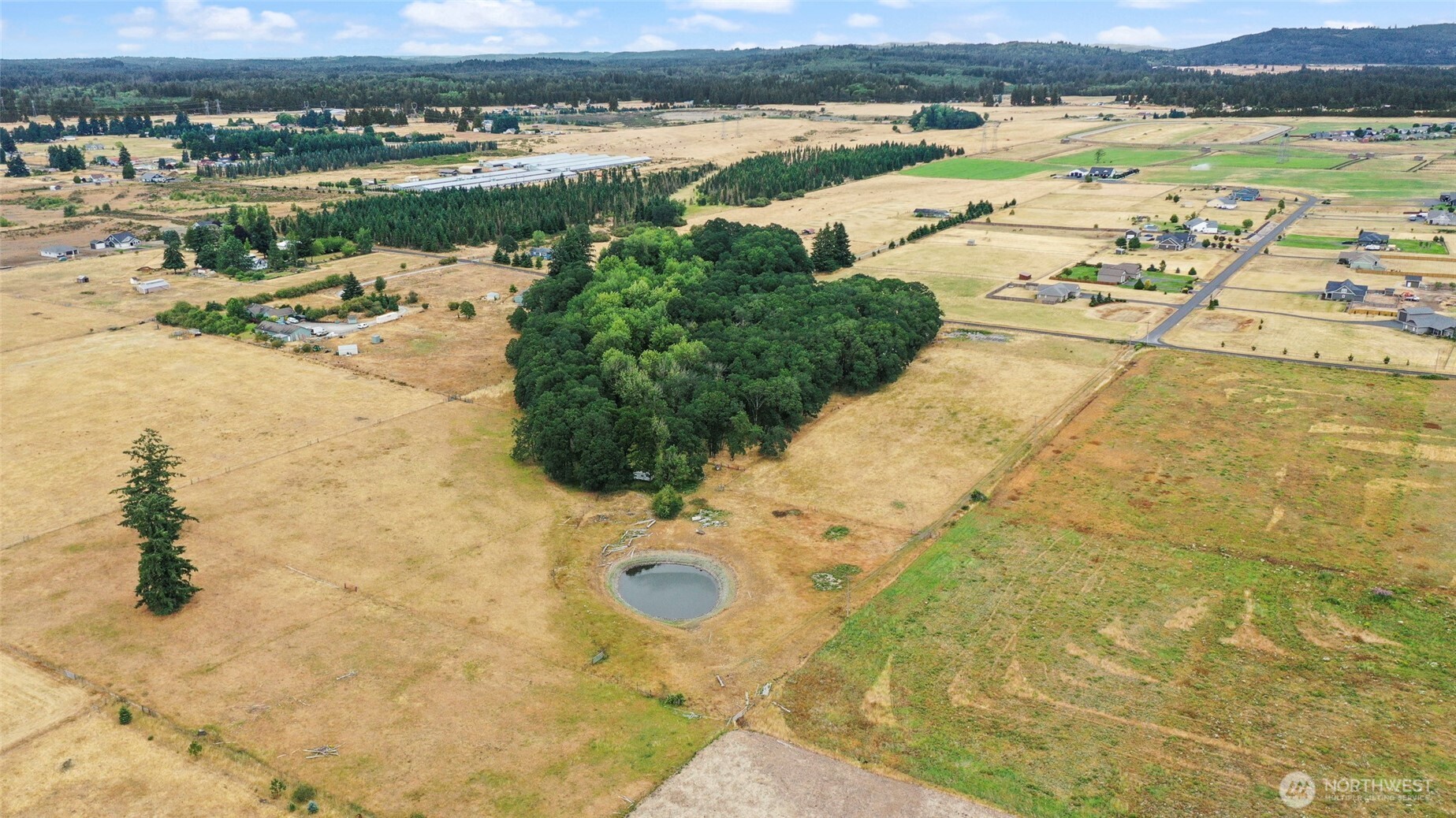 17215 Gibson Road Southwest Tenino, WA 98589 - Photo 35 of 40 a view of a lake with outdoor space
