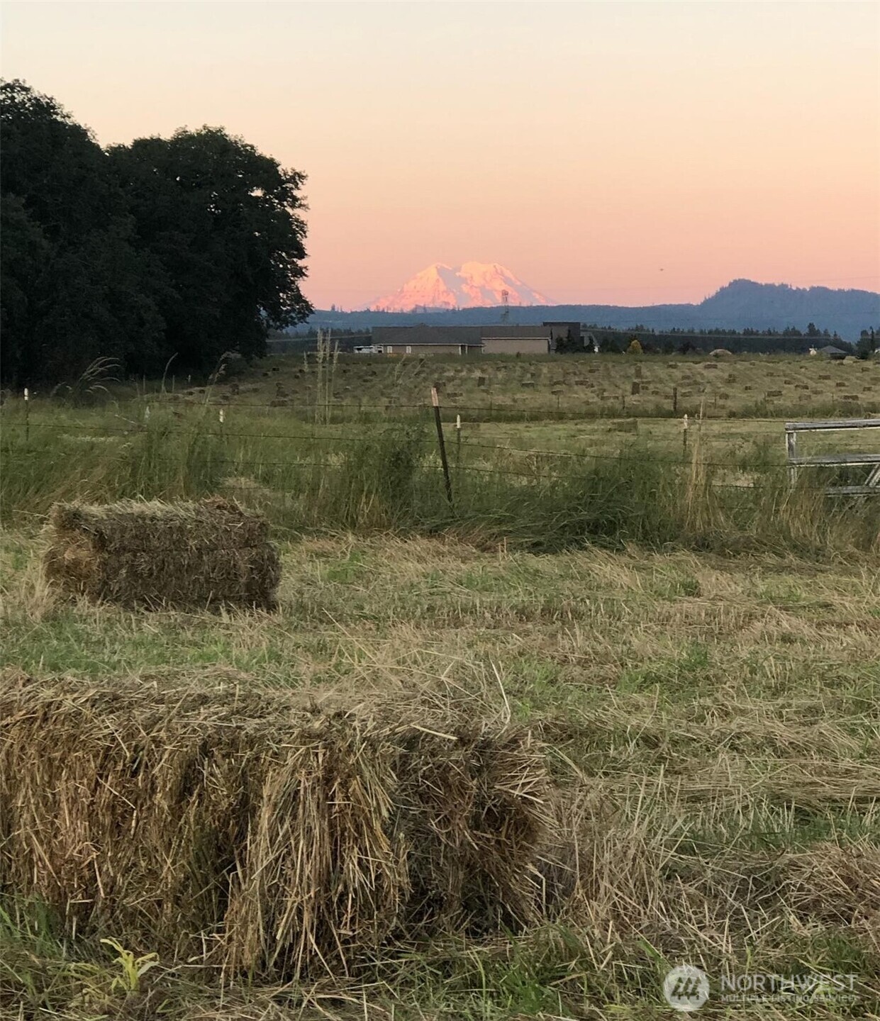 17215 Gibson Road Southwest Tenino, WA 98589 - Photo 39 of 40 a view of a field with a tree in it