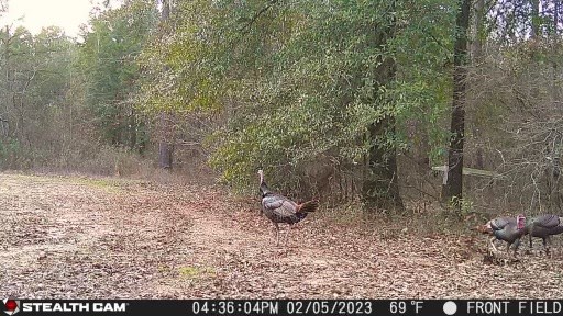 0 County Road 97 Abbeville, AL 36310 - Photo 20 of 53