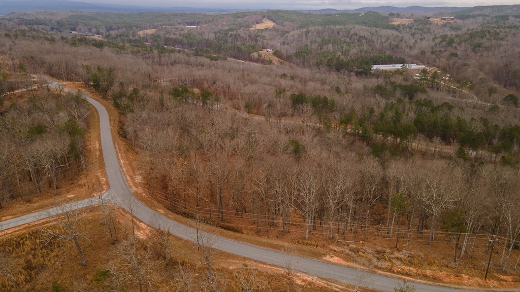 Lot 5 Blalock Mountain Road Talking Rock, GA 30175 - Photo 14 of 22