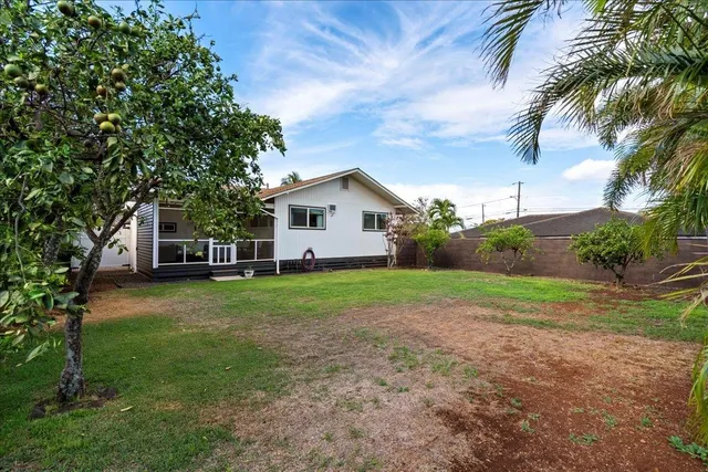 a view of a backyard with plants and large trees