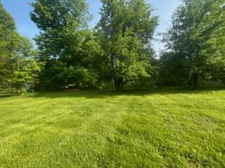12497 Brown Road Hanover, MI 49241 - Photo 22 of 23 IMG_7767