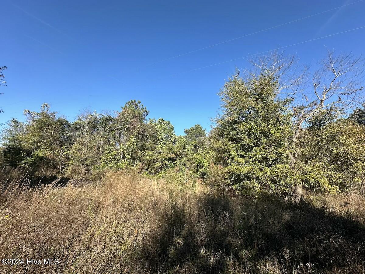 0 County Line Road La Grange, NC 28551 - Photo 29 of 38 tempImageMkImit