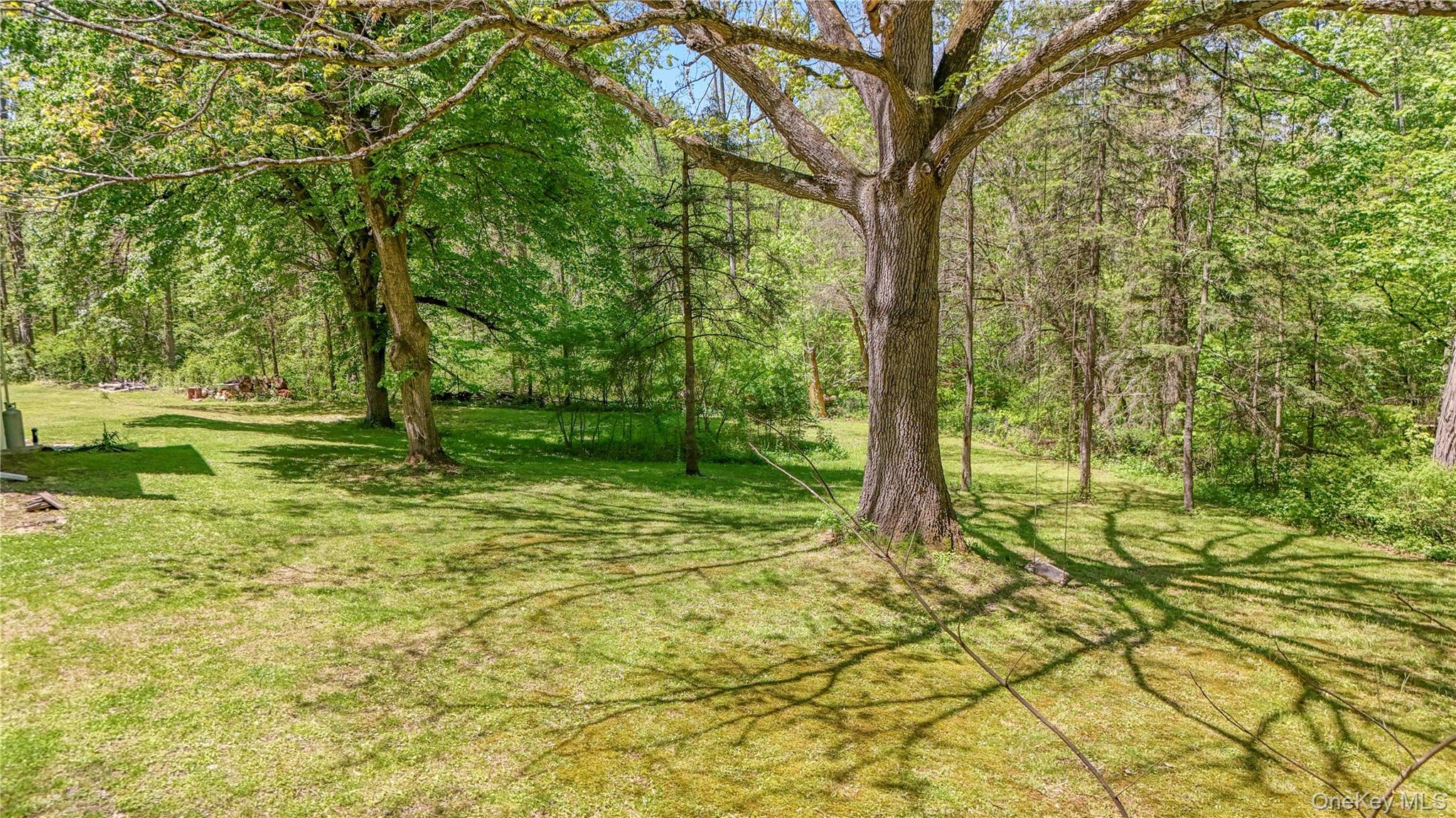 94 Smithtown Road Fishkill, NY 12524 - Photo 8 of 45 a view of backyard with green space