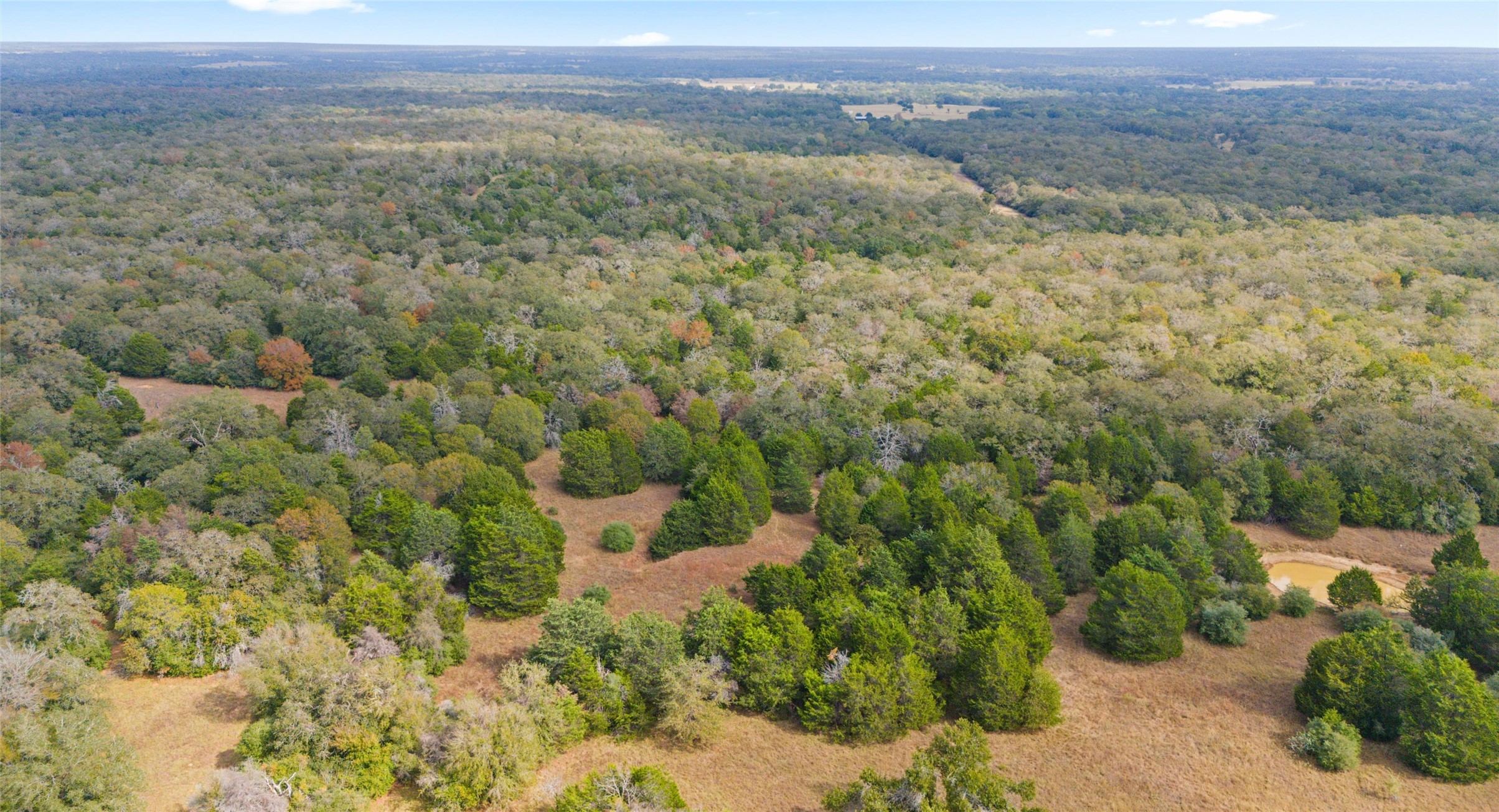 Tbd North County Road East, Unit 415 Lexington, TX 78947 - Photo 12 of 14