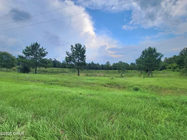 $115,000 | 0 Lovedale Road, Sneads, FL 32460