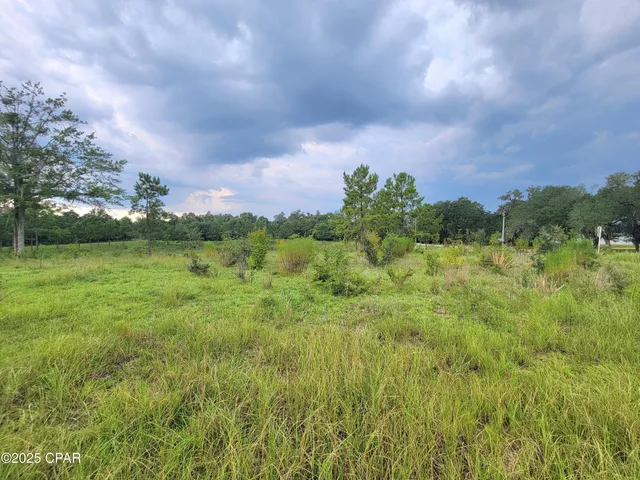 $115,000 | 0 Lovedale Road, Sneads, FL 32460