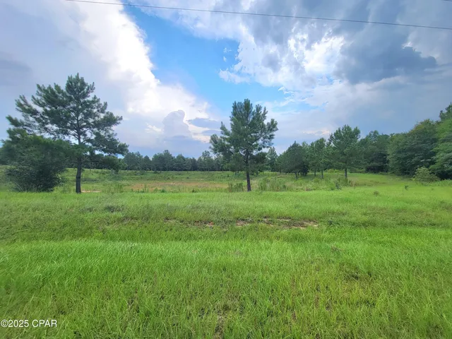 $115,000 | 0 Lovedale Road, Sneads, FL 32460