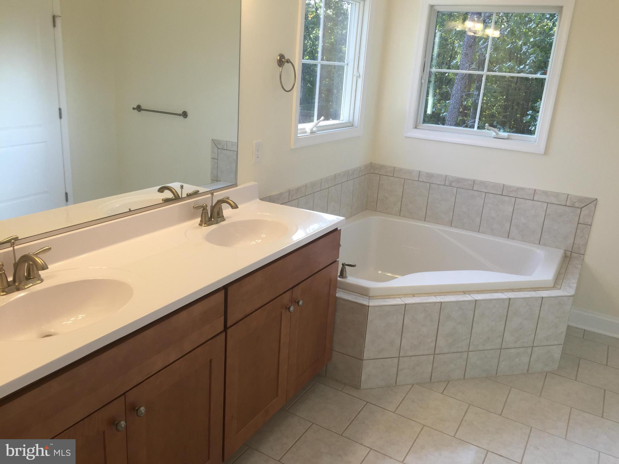 877 Adams Road Winchester, VA 22603 - Photo 15 of 27 Bath (Master)