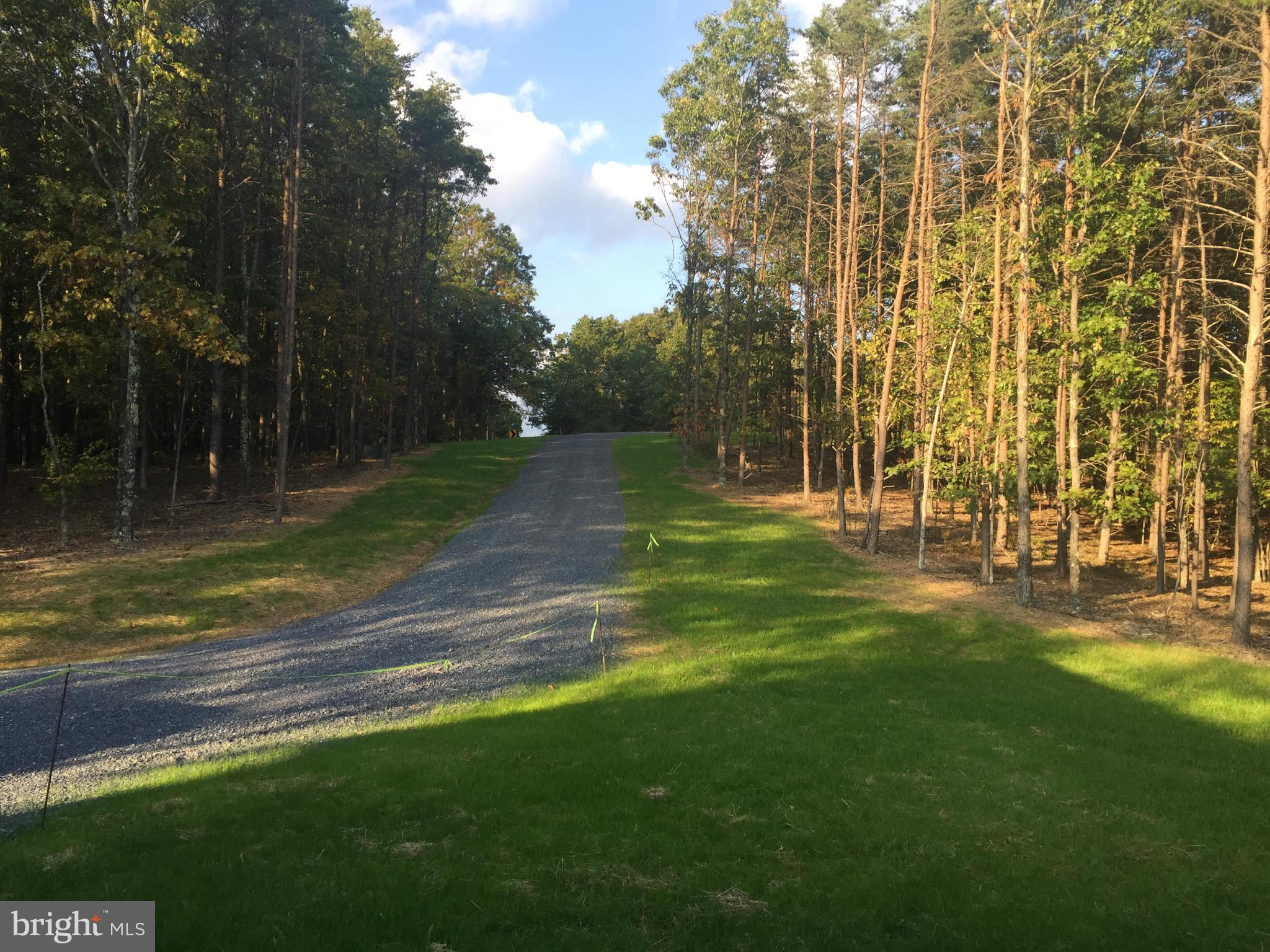 877 Adams Road Winchester, VA 22603 - Photo 3 of 27 View from Front Porch & Driveway