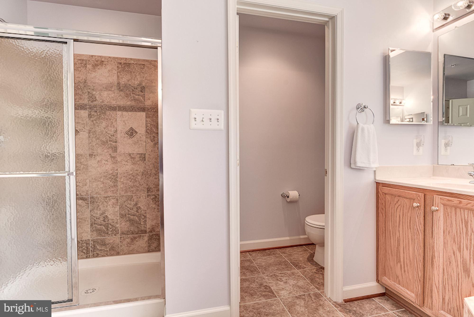1806 Greysens Ferry Court Point of Rocks, MD 21777 - Photo 30 of 51 Primary Bedroom | Full Bath