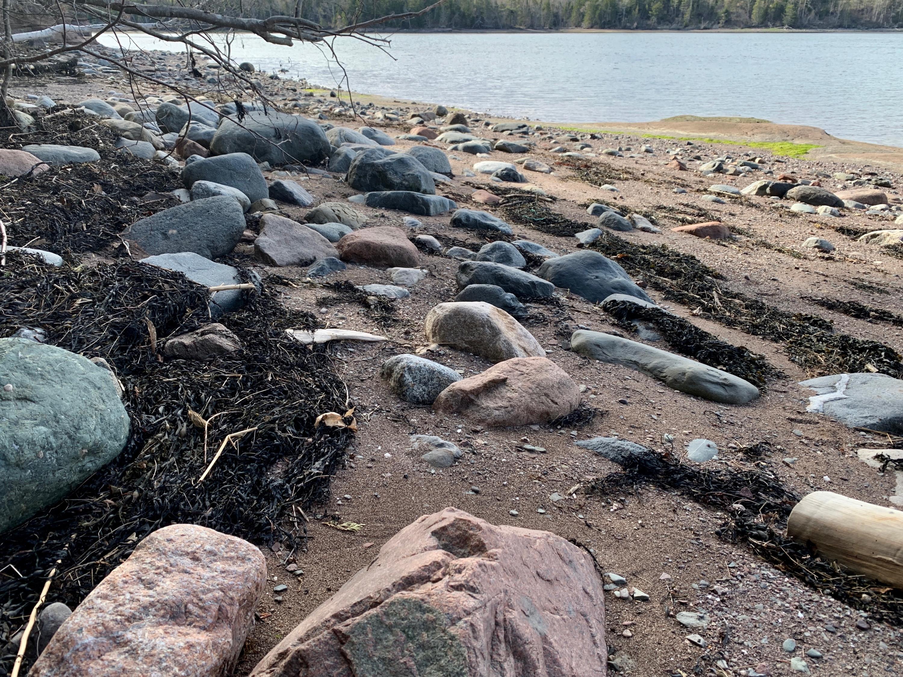 Lot 23 Gin Cove Road Perry, ME 04667 - Photo 12 of 46 IMG_0345