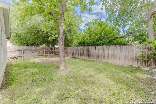 a view of garden with tall trees