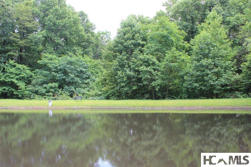 22 Whitewater Ridge Road Sapphire, NC 28774 - Photo 8 of 11 Gallery Image 8