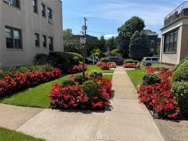 a garden with flowers and trees