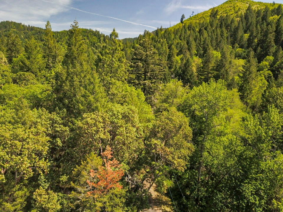 425 Murphy Gulch Road Rogue River, OR 97537 - Photo 19 of 21 IMG_5745