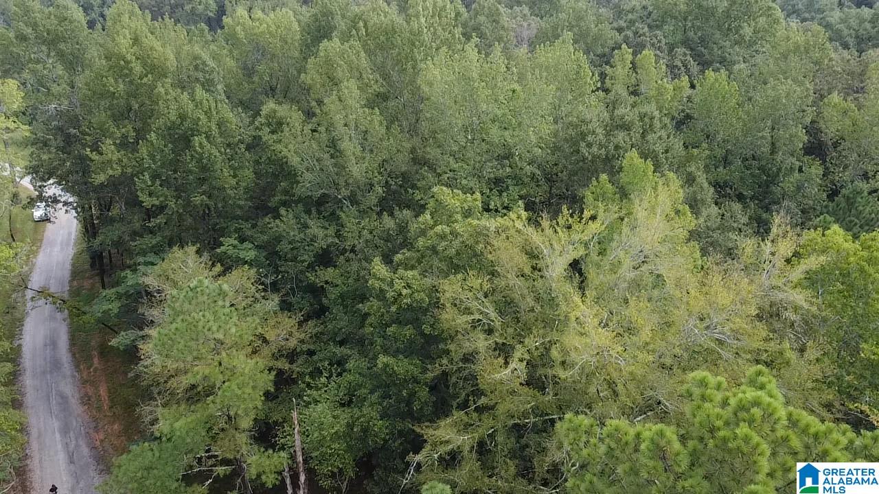 58 Rustic Oaks Drive Sterrett, AL 35147 - Photo 20 of 30