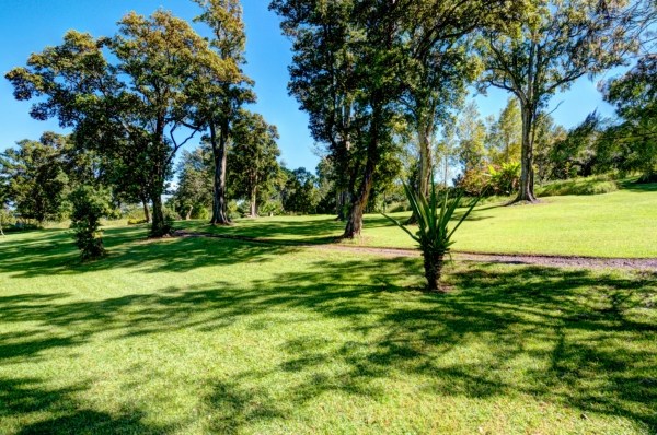 41-1568 Homestead Road Ookala, HI 96774 - Photo 3 of 25 a view of a golf course