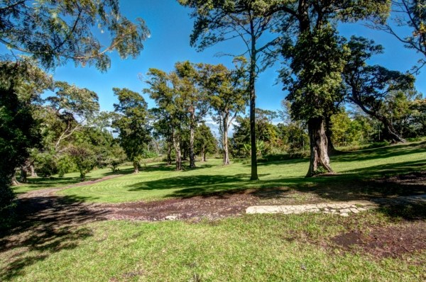 41-1568 Homestead Road Ookala, HI 96774 - Photo 4 of 25 a view of a park with large trees
