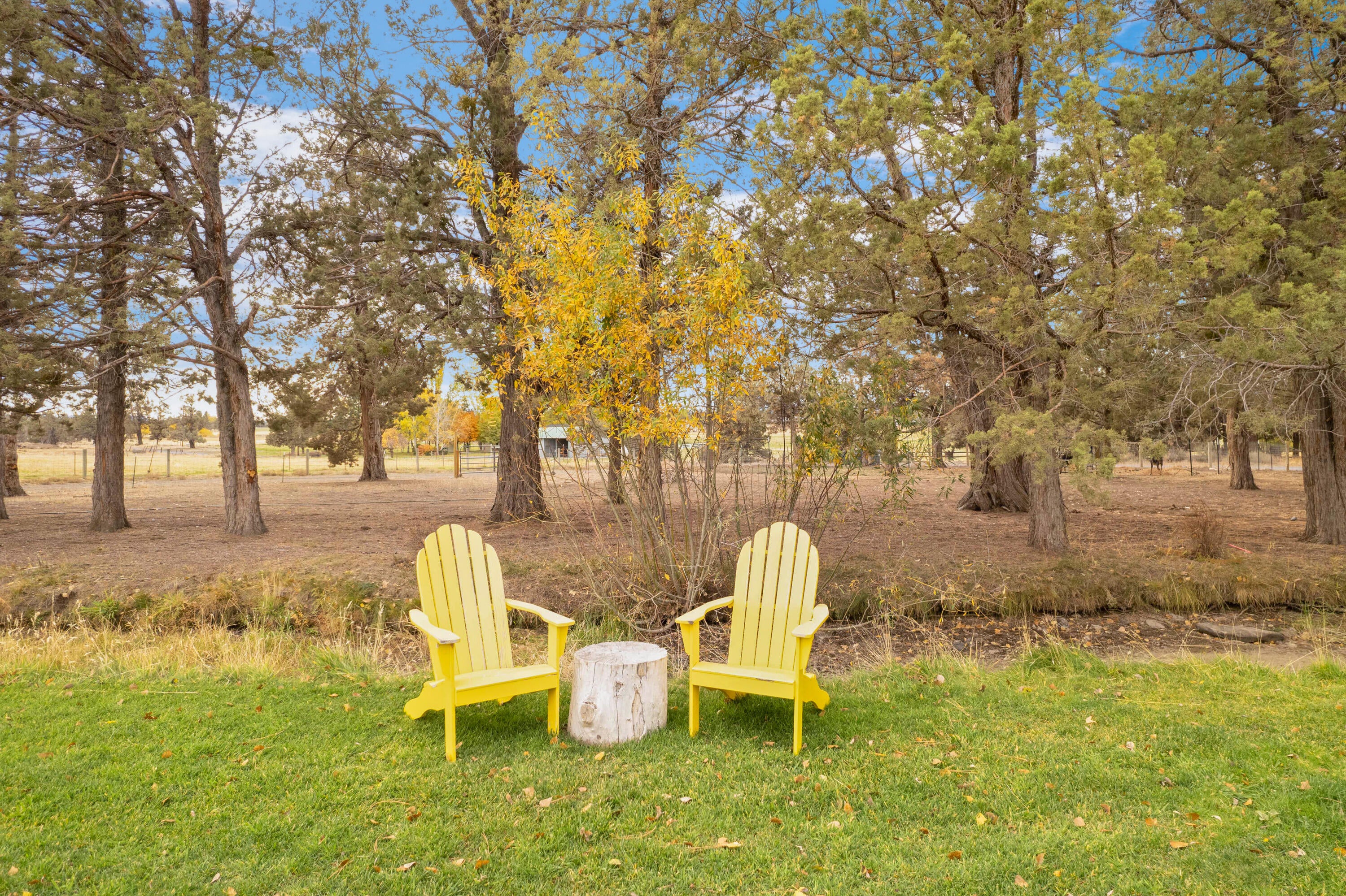 63520 Cricketwood Road Bend, OR 97701 - Photo 11 of 84 DJI_0456