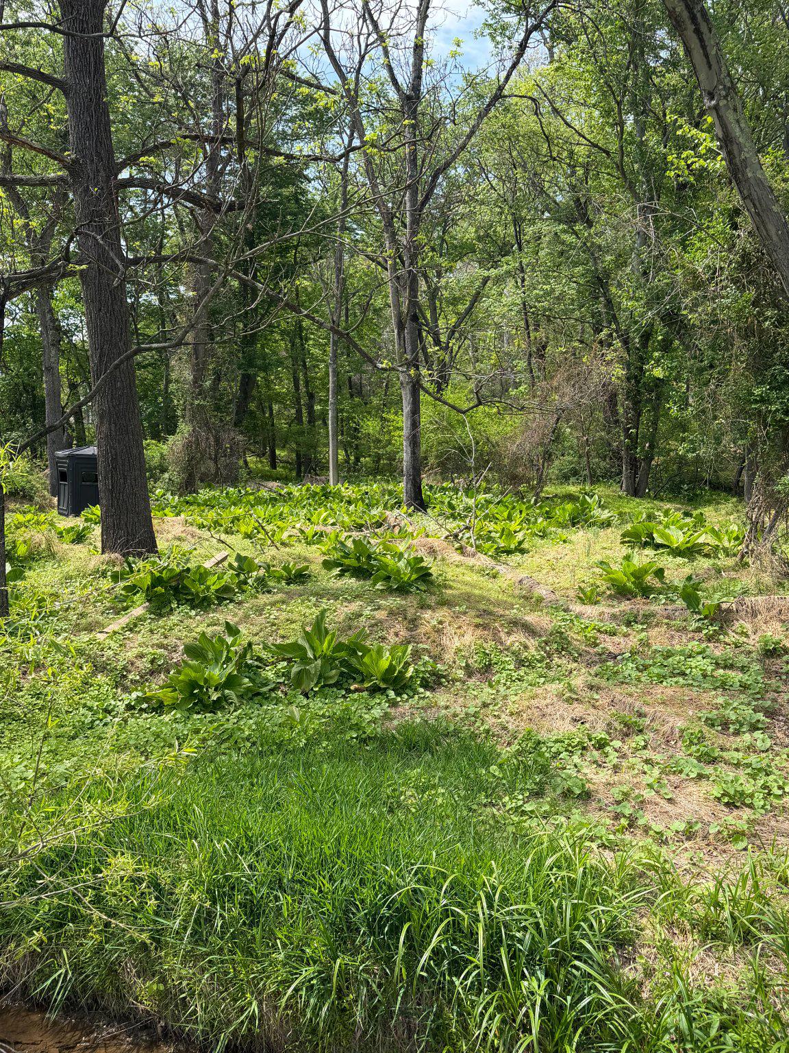 144 Bennett Road Sykesville, MD 21784 - Photo 7 of 12