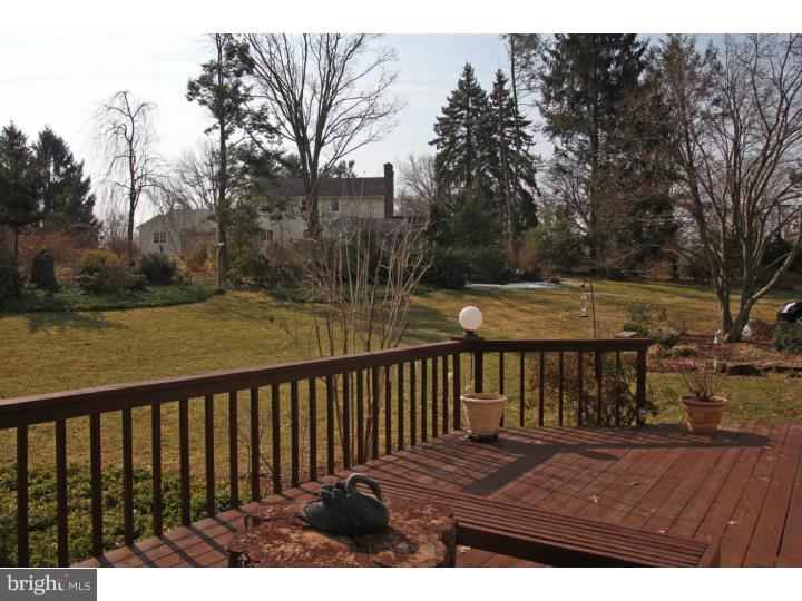 449 Davis Road Chester Springs, PA 19425 - Photo 23 of 25 View in Back