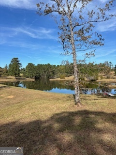 a view of an ocean beach