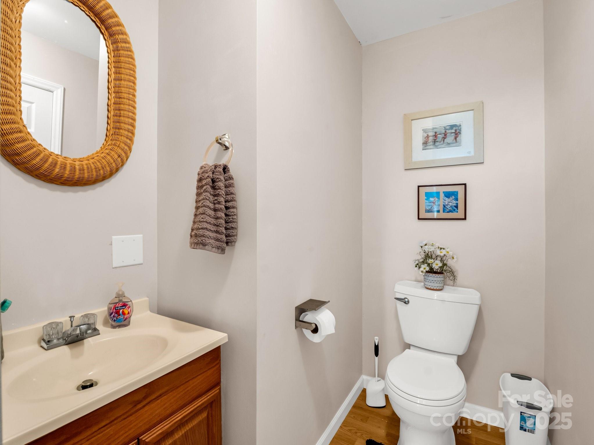 847 Crowe Dairy Road Forest City, NC 28043 - Photo 25 of 35 a bathroom with a sink mirror and toilet