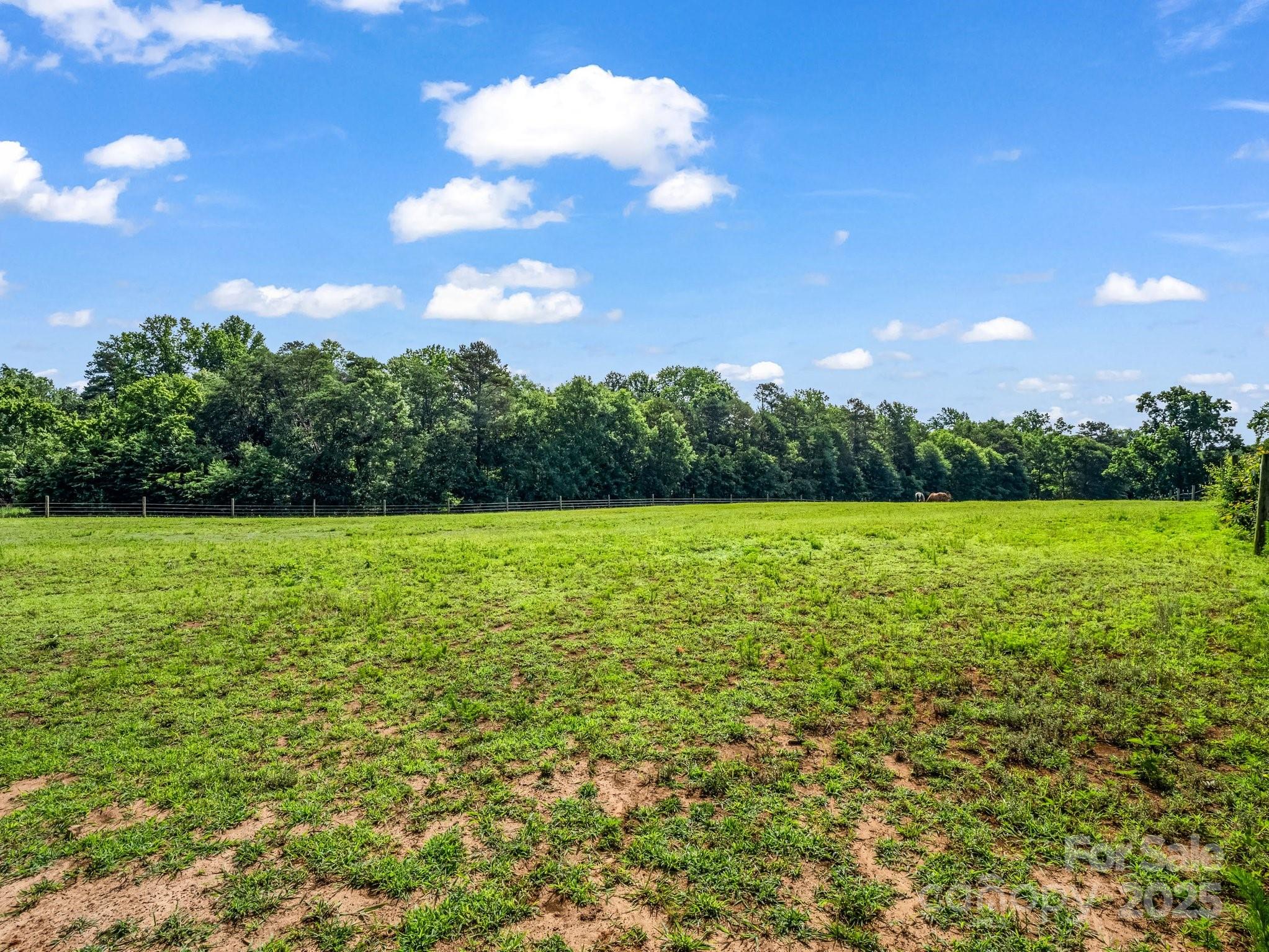847 Crowe Dairy Road Forest City, NC 28043 - Photo 29 of 35 a view of a garden with large trees