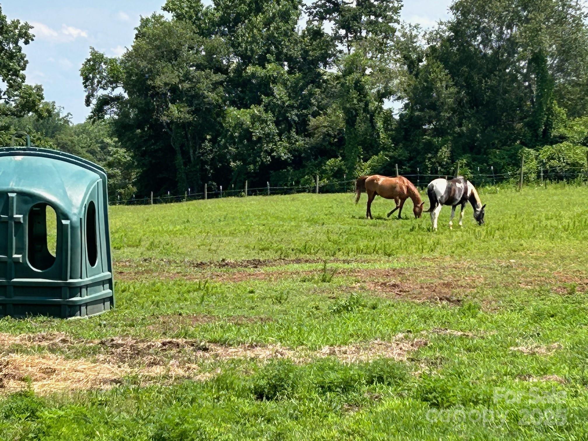 847 Crowe Dairy Road Forest City, NC 28043 - Photo 4 of 35 a backyard of a house with yard and trampoline
