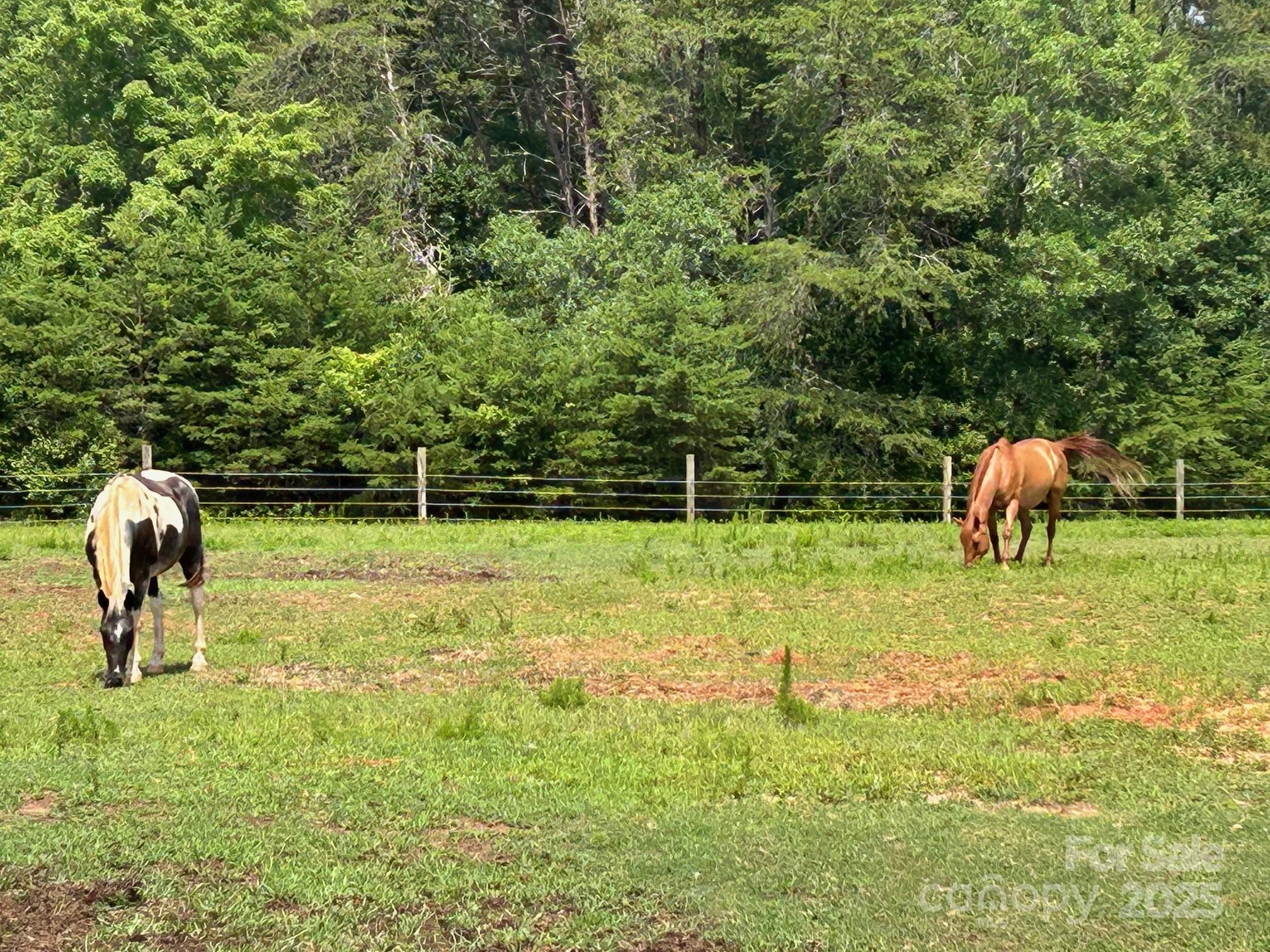 847 Crowe Dairy Road Forest City, NC 28043 - Photo 5 of 35 a view of a park