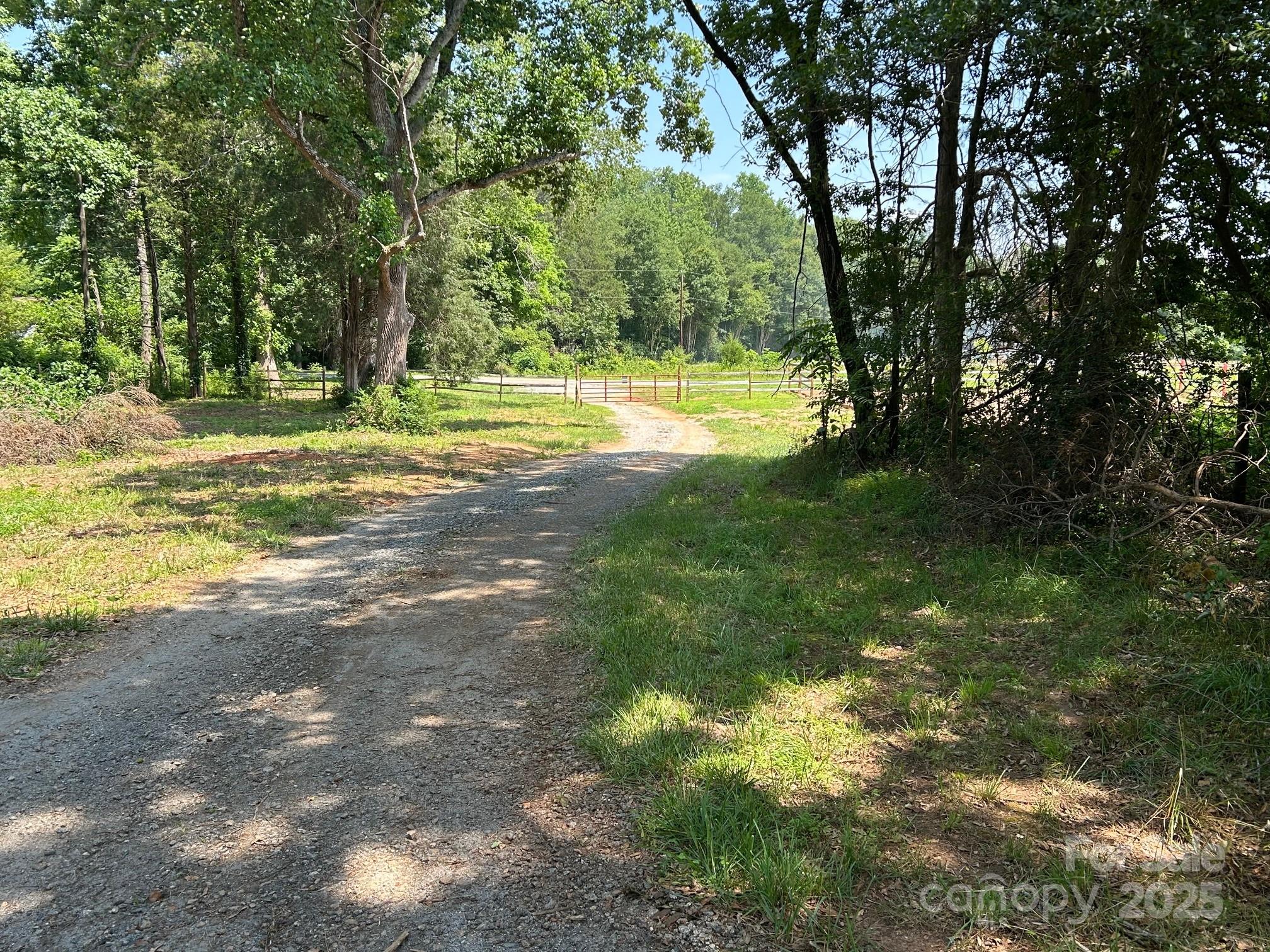 847 Crowe Dairy Road Forest City, NC 28043 - Photo 6 of 35 a view of a yard with a tree