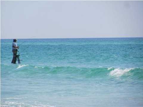 3799 Hwy 30a Santa Rosa Beach, Unit 9A Santa Rosa Beach, FL 32459 - Photo 5 of 14
