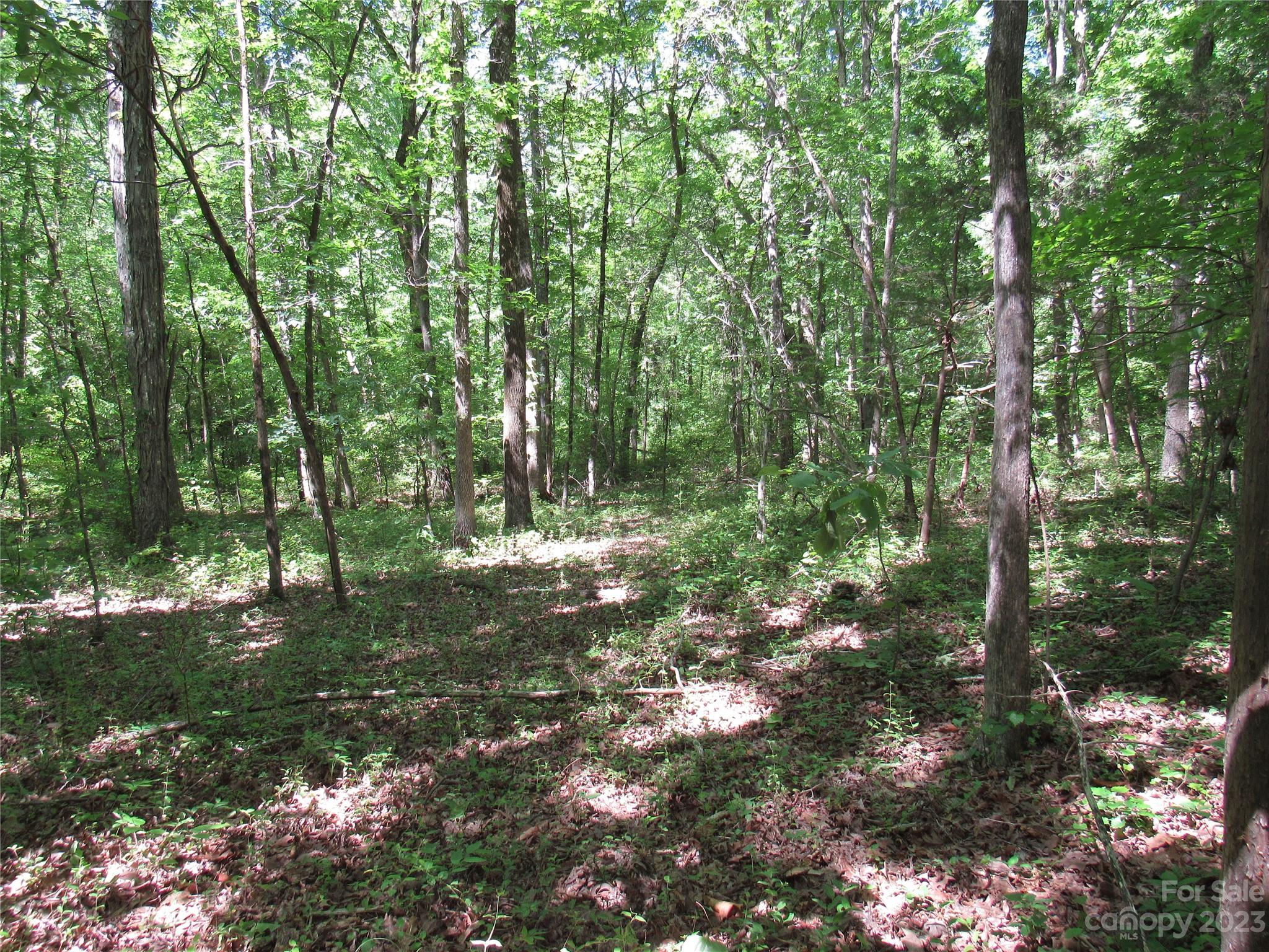 5575 Sapp Road Rockwell, NC 28138 - Photo 3 of 20 Gallery Image 3
