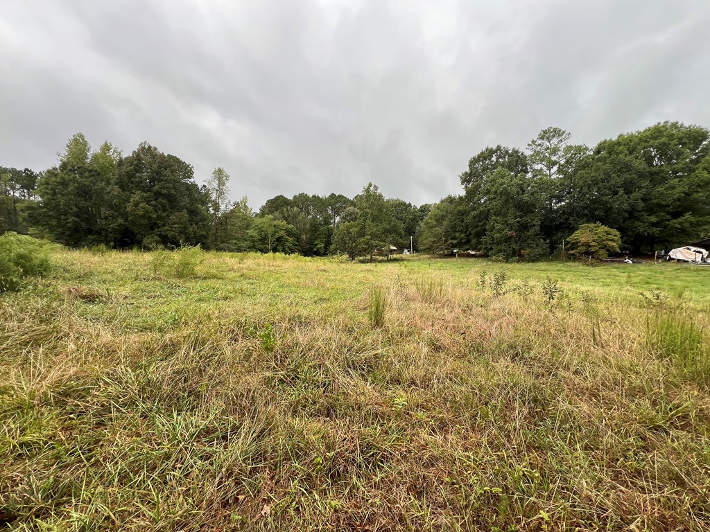 759 Carbondale Road Southwest Dalton, GA 30721 - Photo 20 of 22 Gallery Image 20