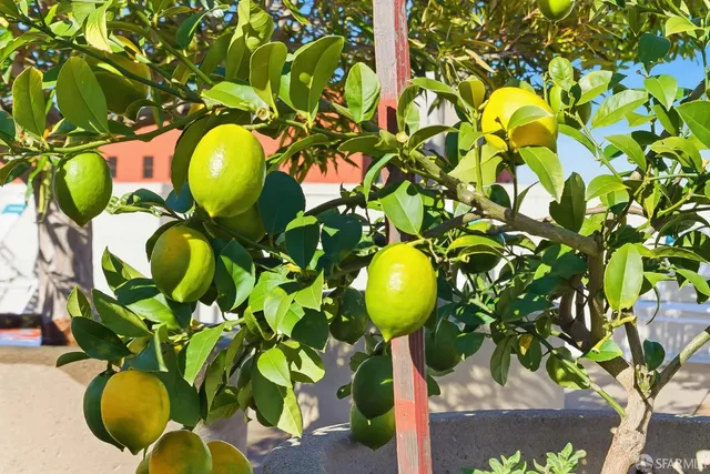 $895,000 | 152 Lombard Street, Unit 405, San Francisco, CA 94111