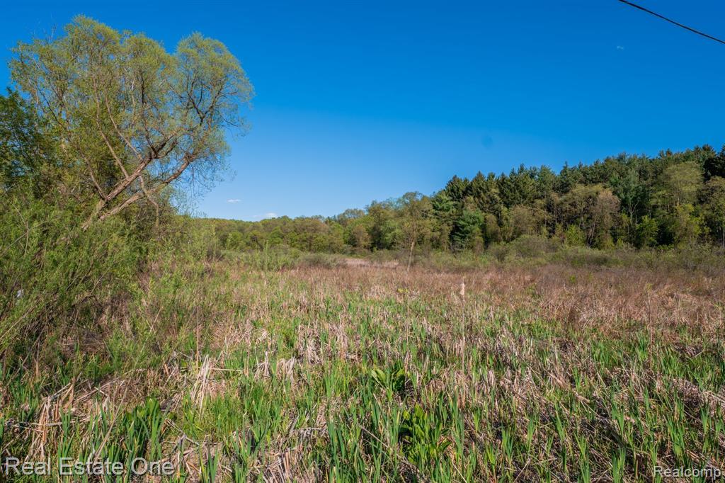 5375 Pleasant Valley Road Brighton, MI 48114 - Photo 15 of 75