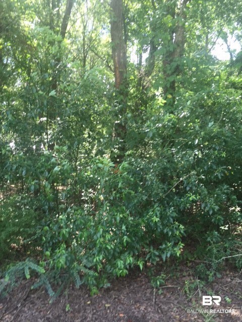 Wooded.  Zoned Duplex