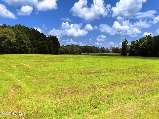 $300,000 | 481 Nine Mile Road, Maple Hill, NC 28454