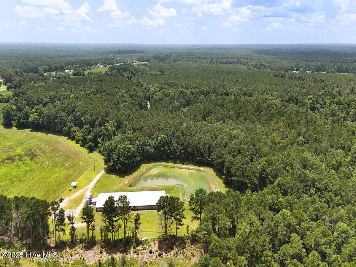 481 Nine Mile Road Maple Hill, NC 28454 - Photo 11 of 43 11. Border North
