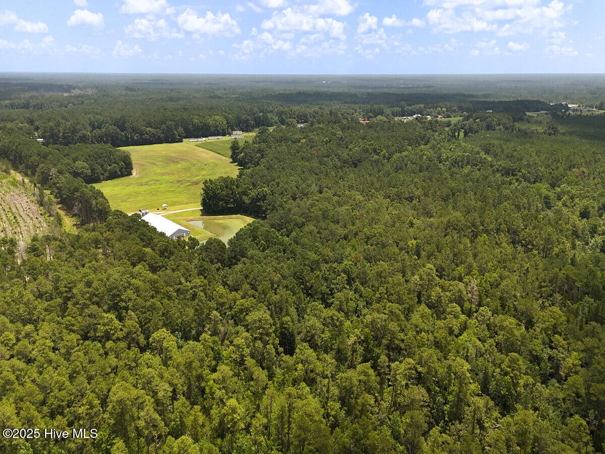 481 Nine Mile Road Maple Hill, NC 28454 - Photo 12 of 43 12. Border West