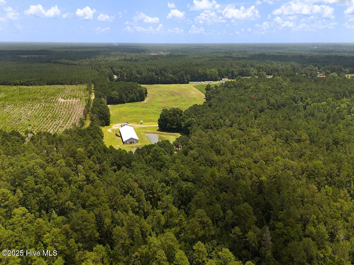 481 Nine Mile Road Maple Hill, NC 28454 - Photo 13 of 43 13. Border West