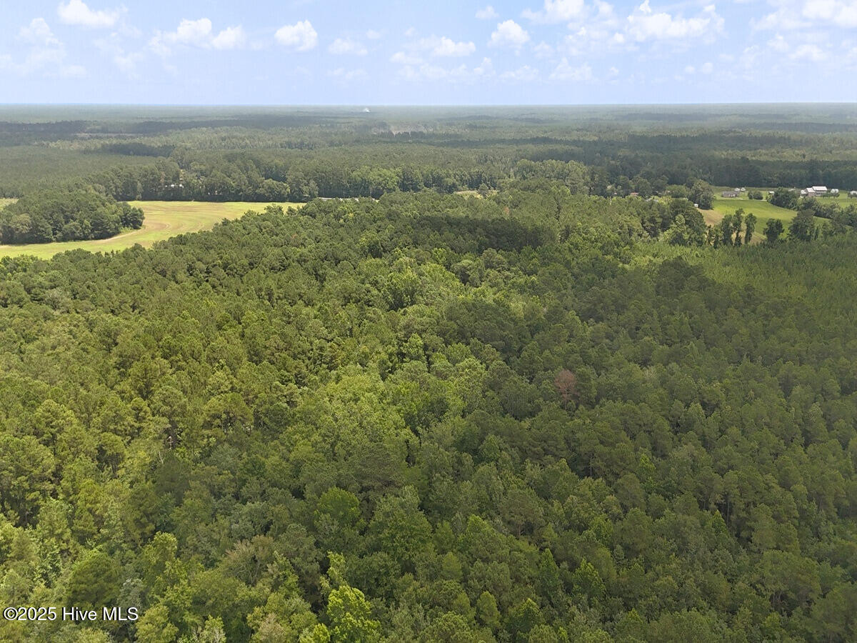 481 Nine Mile Road Maple Hill, NC 28454 - Photo 15 of 43 15. Border West